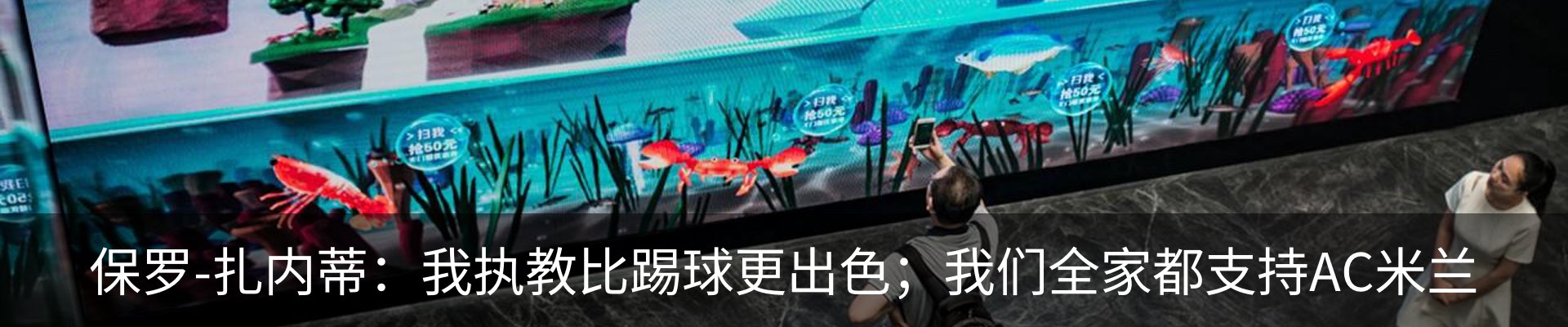 最新动态