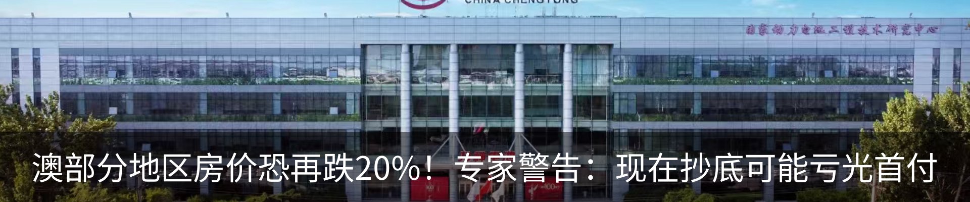 最新动态
