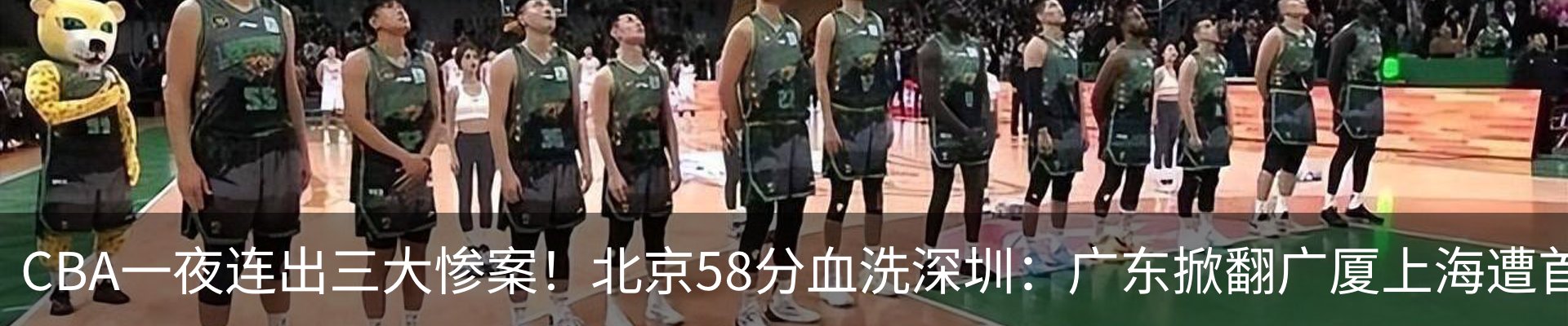 最新动态
